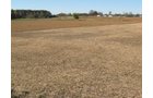Property photo 12 - 110+/- Acres offered in 4 Tillable Tracts